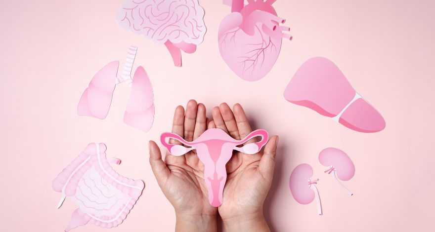 saude-feminina-cuidados-prevencao-bem-estar