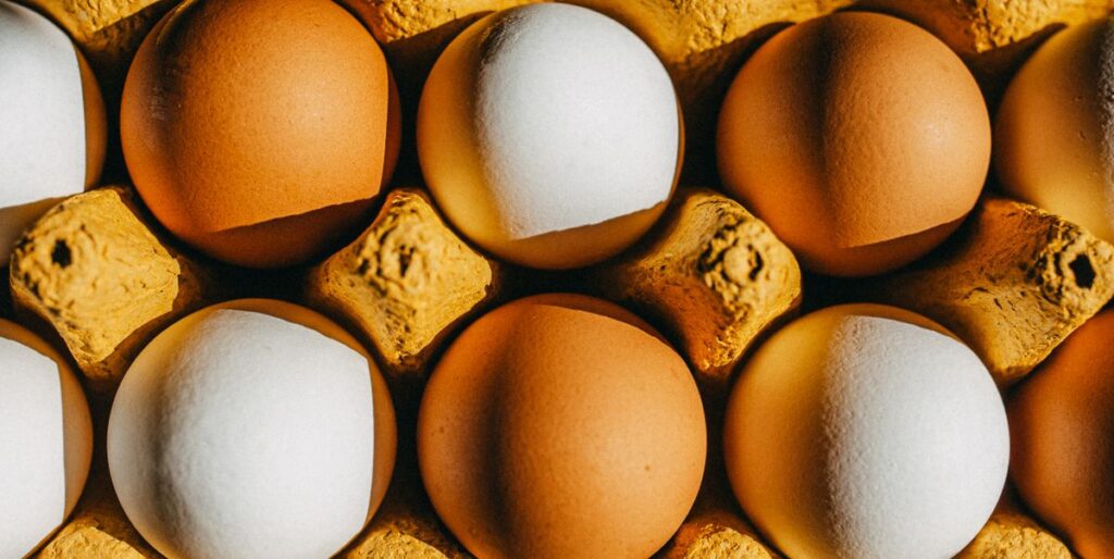 Quanto de proteína é demais o que os dietistas dizem