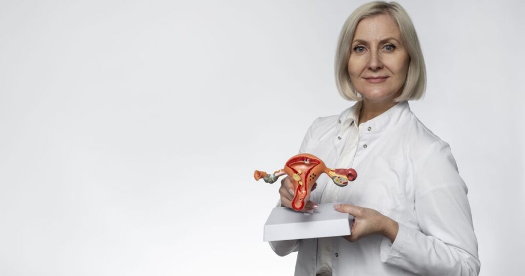 Ilustração científica do ovário representando o envelhecimento feminino